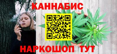mdpv Заводоуковск