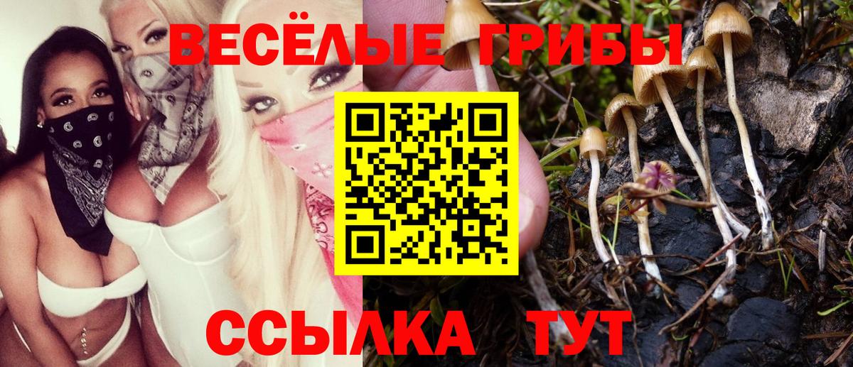 Галлюциногенные грибы MAGIC MUSHROOMS  Галлюциногенные грибы MAGIC MUSHROOMS  Мирный  Вход с VPN 